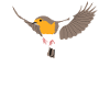 Rotkehlchen Vogel