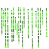 Bug Hunter - Neon Green Source Code Bugs