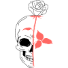 Pink skull skull