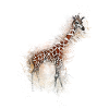 Girafe