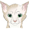 Chat blanc beige