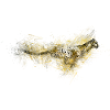 Guépard