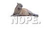 Capybara