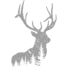 Cerf