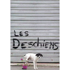 deschiens