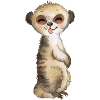 freches Erdmännchen