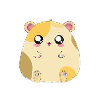 Hamster Mama