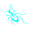 Insect