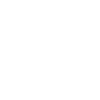Insect