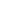 Cairn Terrier