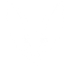 Night creature print