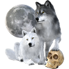 Wolves, white, grey, moon, skull