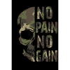 No Pain no Gain