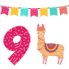 9th Birthday Lama Alpaca