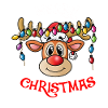 Rennes Joyeux Noël Noël Drôle