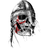 Crâne viking
