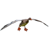 oiseau