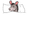 Donkey Sleeping Shirt Gift