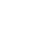 Software developer