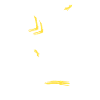 Möwen Yoga