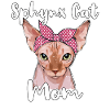 Sphynx Chat Maman Sphynx Chat