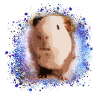 meerschweinchen, graffiti,malerei,grün,blau