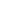 Little Bro