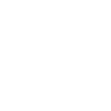Big Bro
