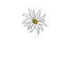 Heartbeat Alpes d’Edelweiss