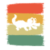 Aligator Crocodile