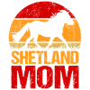 Shetlandpony Shetland Pony Mama
