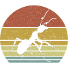 Ant