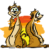 Meerkat Africa Comic Cartoon