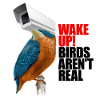 birds aren't real