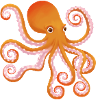 Octopus Octopus
