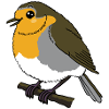 Robin Cute Kids 2