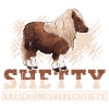 Shetty Spruch Shetland Pony reiten