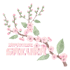 Kirschblüte Blüte Bunt