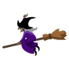 Witch flies on the broom