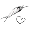 Animal insect