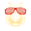 Capybara Sunglasses Capibara