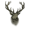 Hunter Shirt Men's Hunting Deer