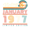 January 1977 Palms Retro