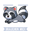 Waschbären Waschbär