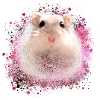 hamster, graffiti, schilderen, roze,