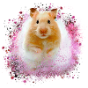 hamster, graffiti,malerei,pink,goldhamster