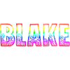 blake rs rainbow