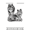 Wölfe Waldtier Wolf