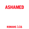 gospel bible