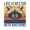 Raccoon